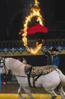 Arabian Nights Dinner Show