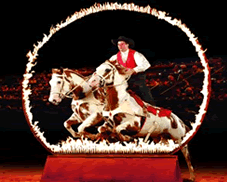 Dixie Stampede