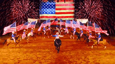 Dixie Stampede