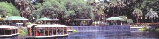 Silver Springs