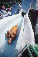 Blizzard Beach